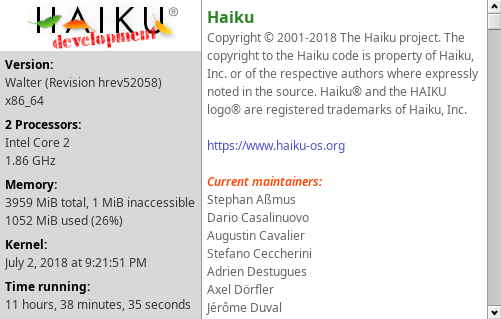 About Haiku window